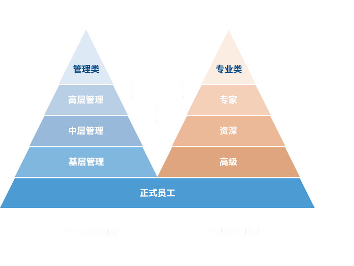 国际浩博vinbet 