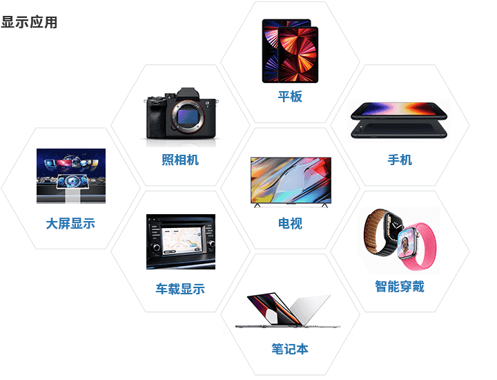 国际浩博vinbet